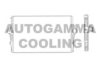 AUTOGAMMA 105504 Intercooler, charger